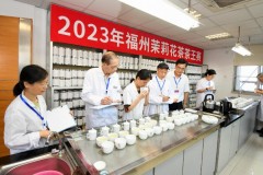 热度飙升!2024年福州茉莉花茶“茶王”“传承大师”即将揭晓