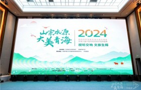 视听交响•文旅生辉 2024 第九届中国网络视频学院榜盛典在青海举办