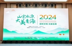 促进视听文旅融合 2024网络视听赋能青海文旅交流会成功举办