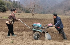 湖北竹溪：山区烟叶种植迎来了“农机热”