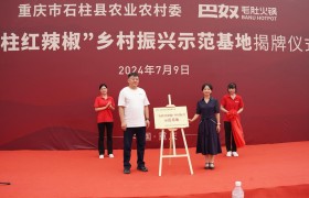 巴奴携手石柱县再建乡村示范基地，全面助力“石柱红辣椒”建设