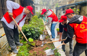 学雷锋，‘树’新风，共建美好家园