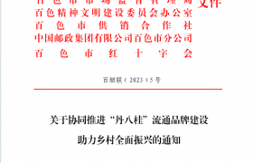 爱心汇聚助振兴 扶危济困显真情——广西百色烟草积极开展“99公益日”人道资源动员活动